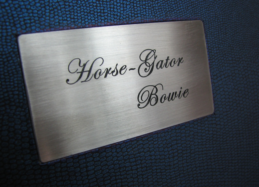 foto Horse-Gator (W & H) Bowie Knife