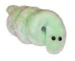 Boreli�za (Borrelia burgdorferi)