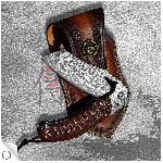 Dellinger Tanto Dachser, dama�kov� EDC model, ocel VG-10, had� d�evo