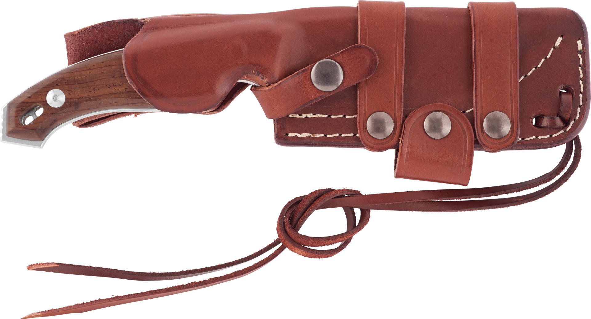 foto N��/FOX OCTOPUS VULGARIS ZIRCOTE W FX-510W